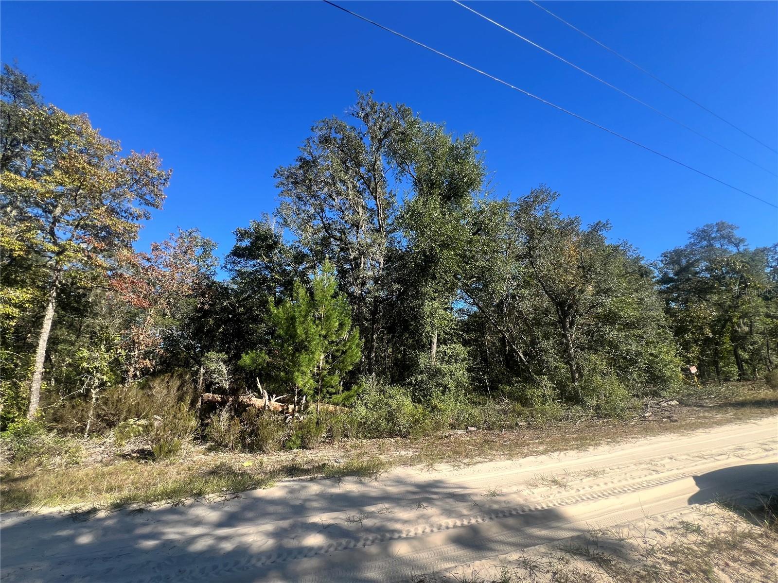 TBD NE 97TH COURT, Bronson, FL 32621 TBD NE 97TH COURT, Bronson, FL 32621