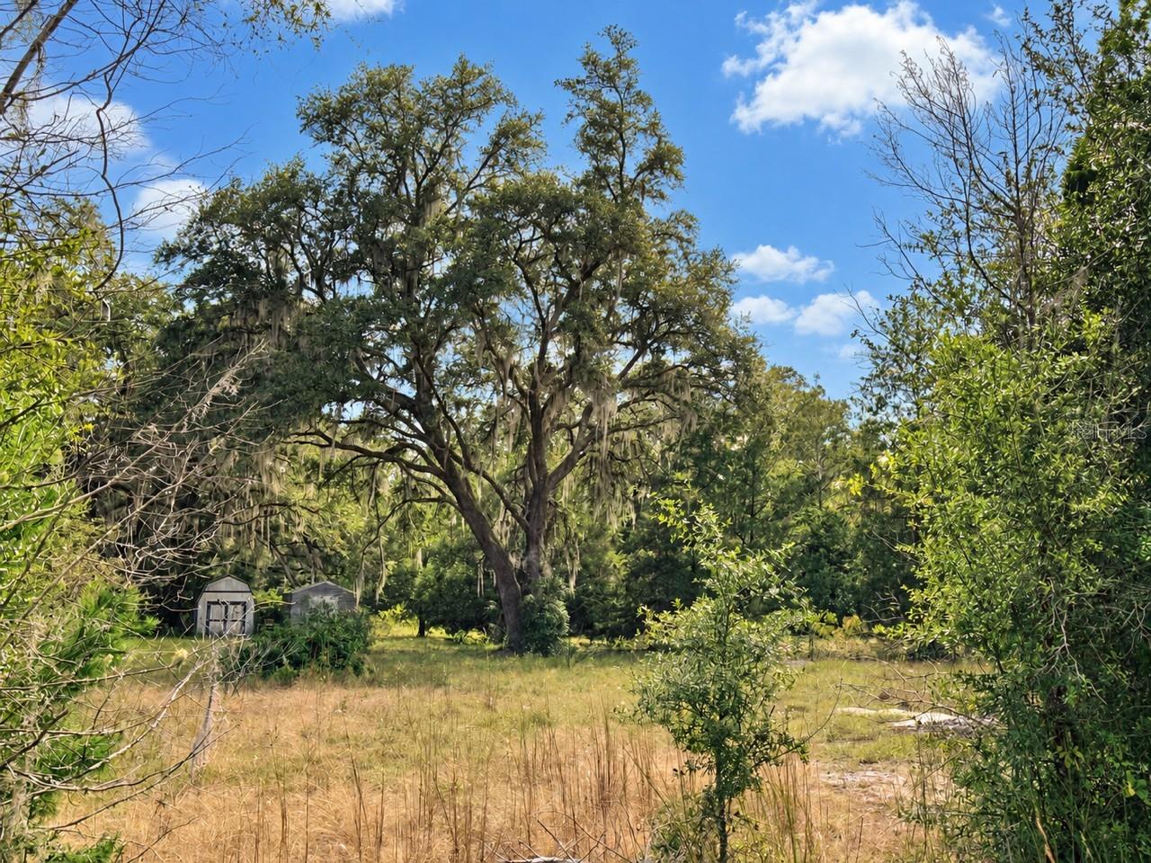 1190 NW 92ND PLACE, Chiefland, FL 32626