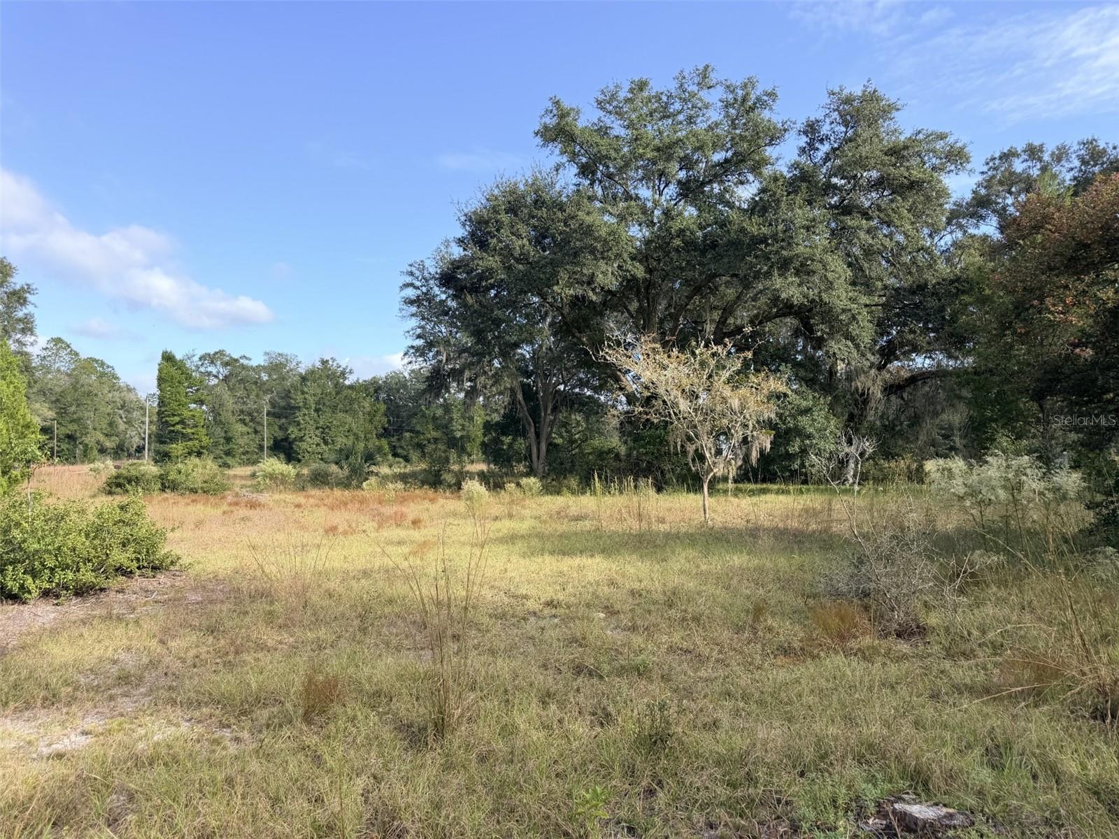 1190 NW 92ND PLACE, Chiefland, FL 32626 1190 NW 92ND PLACE, Chiefland, FL 32626