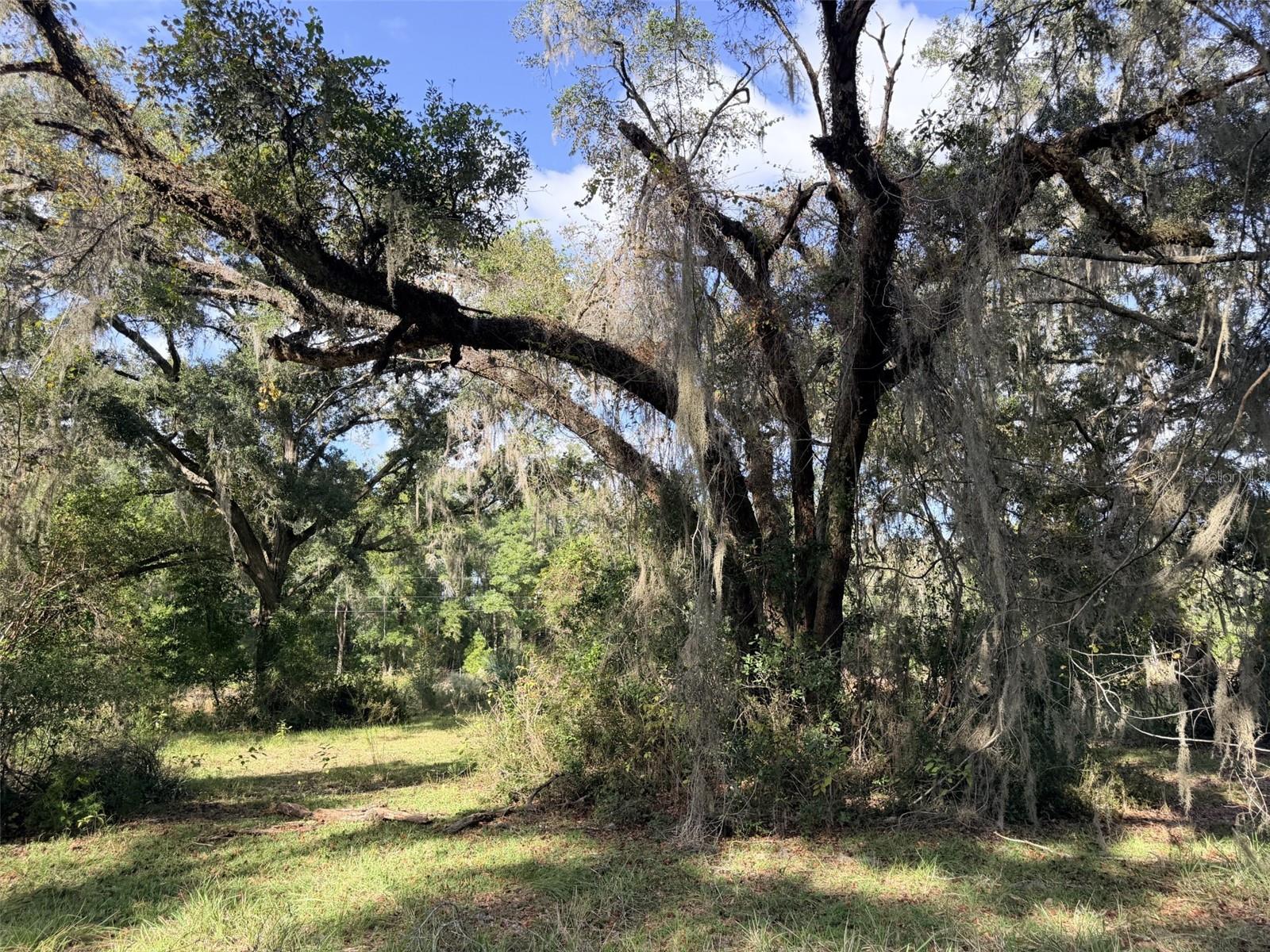 1190 NW 92ND PLACE, Chiefland, FL 32626