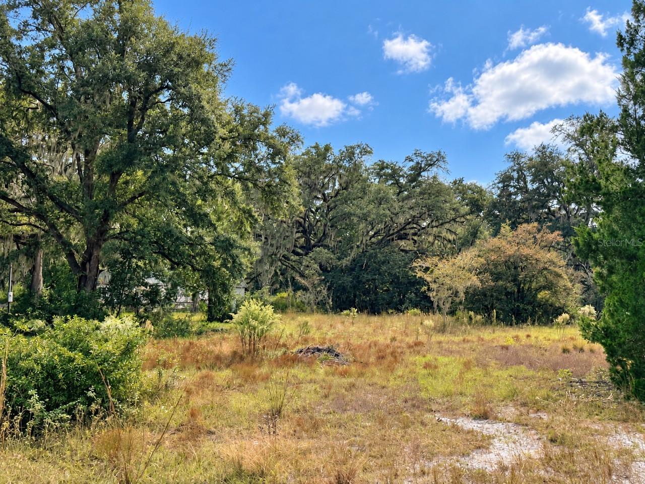 1190 NW 92ND PLACE, Chiefland, FL 32626