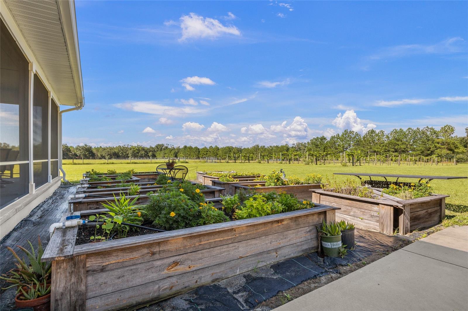 3725 172ND STREET, Wellborn, FL 32094