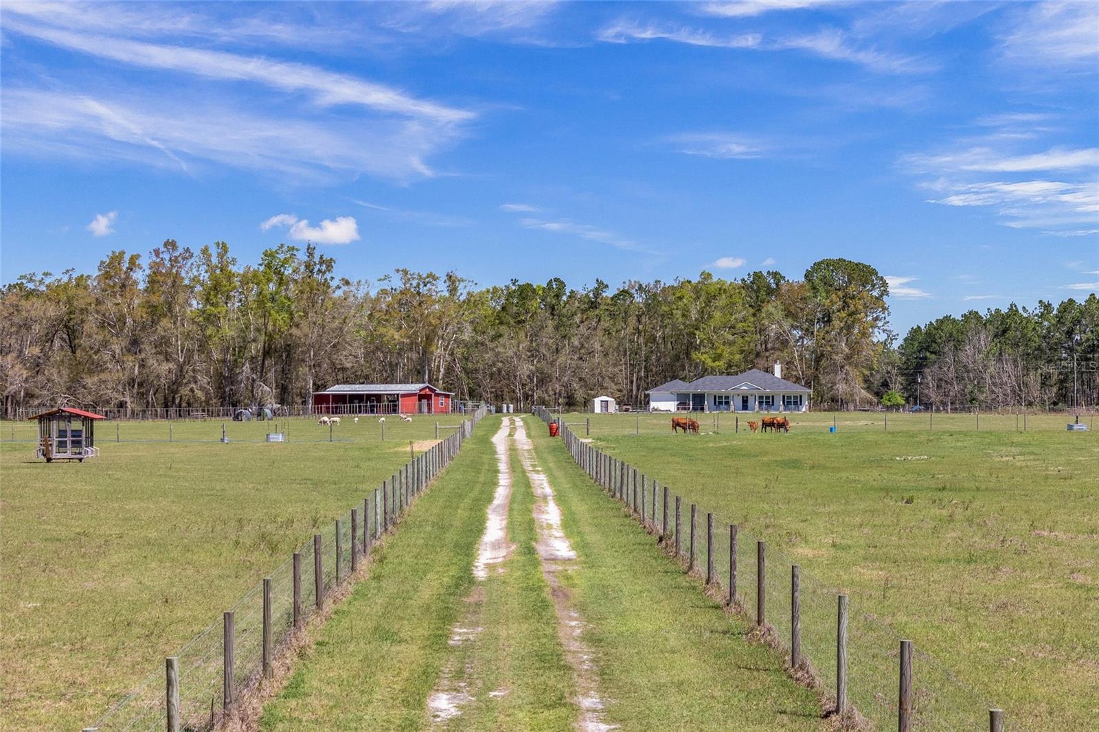 3725 172ND STREET, Wellborn, FL 32094