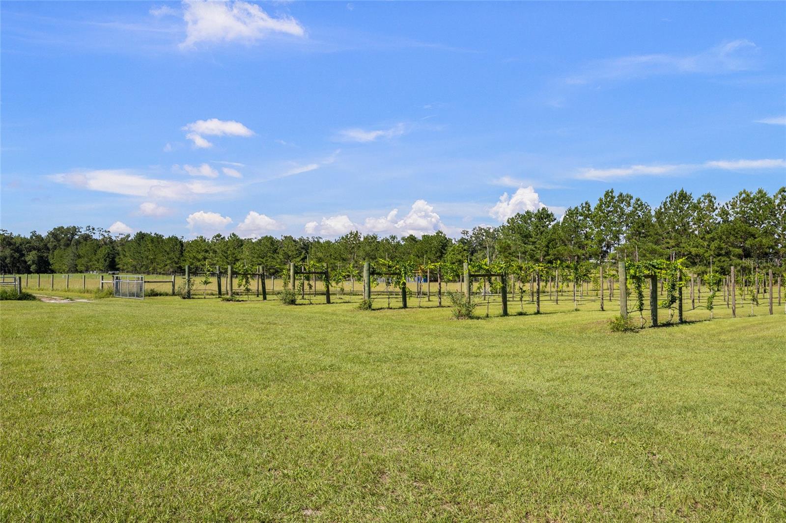 3725 172ND STREET, Wellborn, FL 32094
