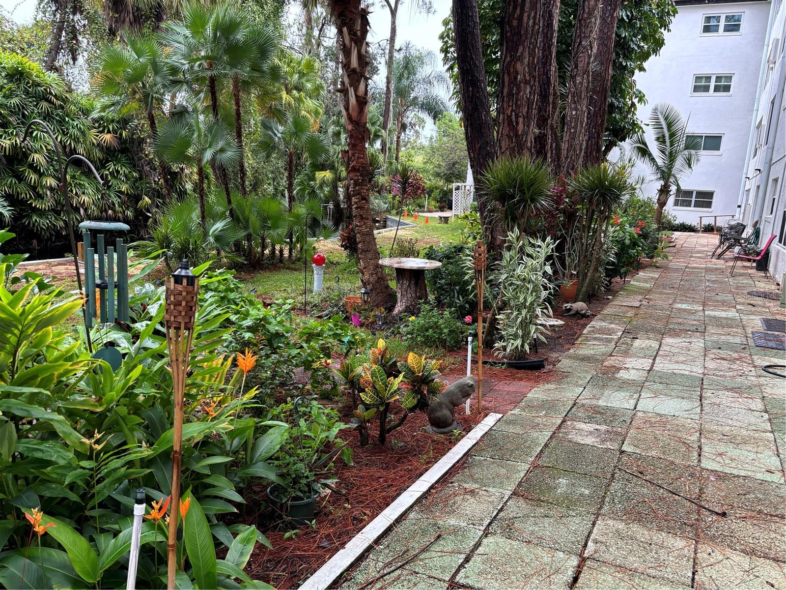 Back patio