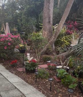 Back Patio