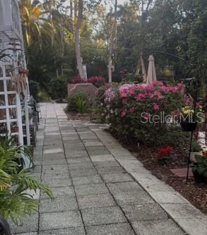 Back patio