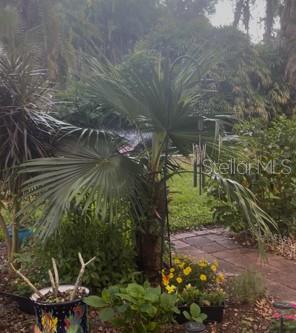 Back Patio
