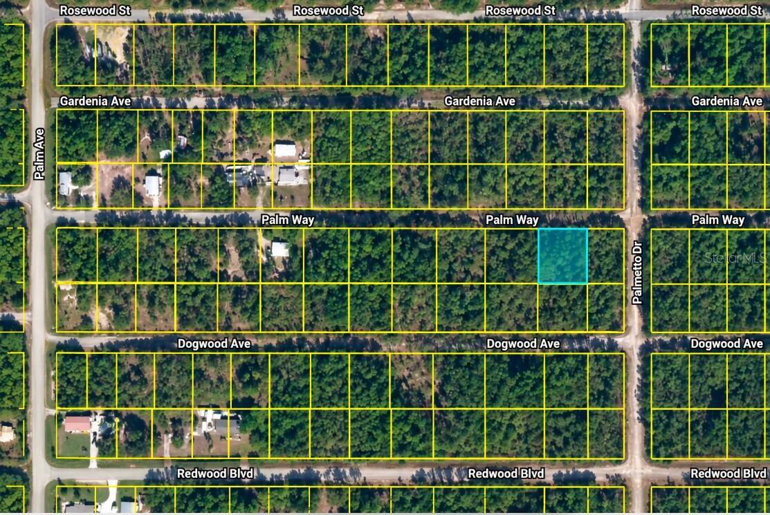 337 PALM WAY, Georgetown, FL 32139