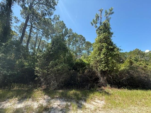 337 PALM WAY, Georgetown, FL 32139