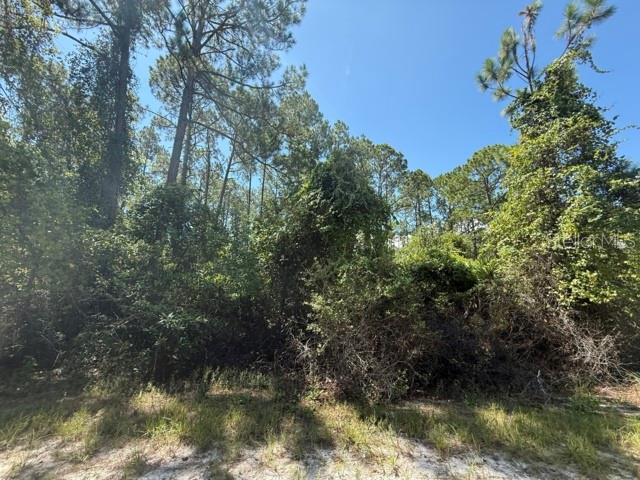 337 PALM WAY, Georgetown, FL 32139