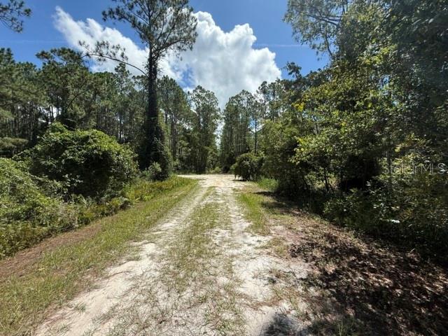 337 PALM WAY, Georgetown, FL 32139