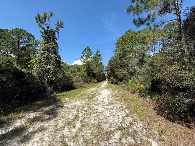 337 PALM WAY, Georgetown, FL 32139