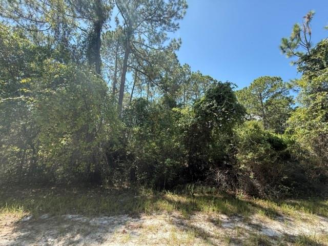 337 PALM WAY, Georgetown, FL 32139