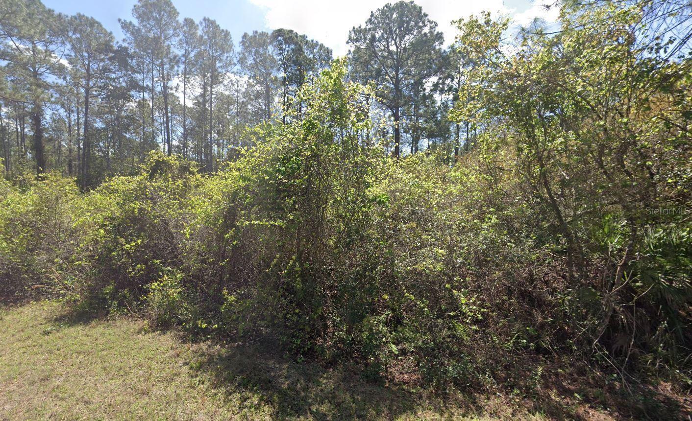 337 PALM WAY, Georgetown, FL 32139