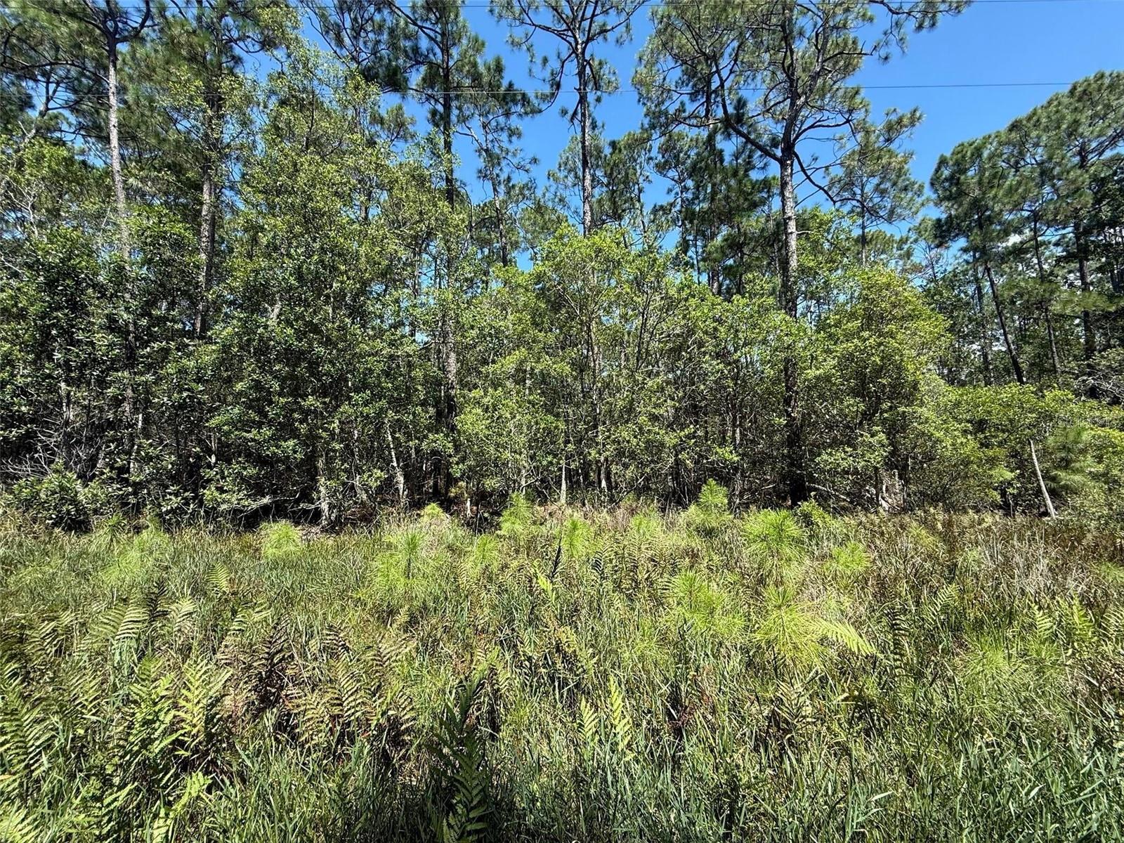 210 SE 2ND STREET, Georgetown, FL 32139