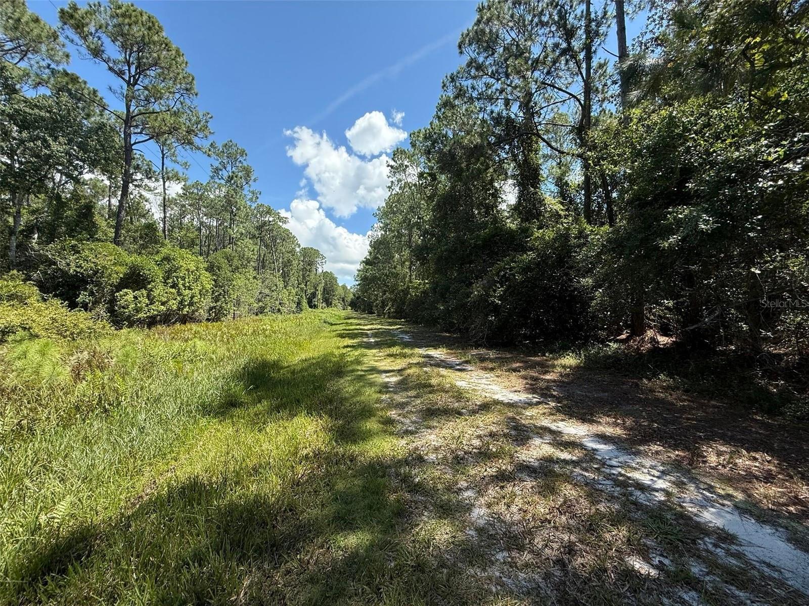 210 SE 2ND STREET, Georgetown, FL 32139