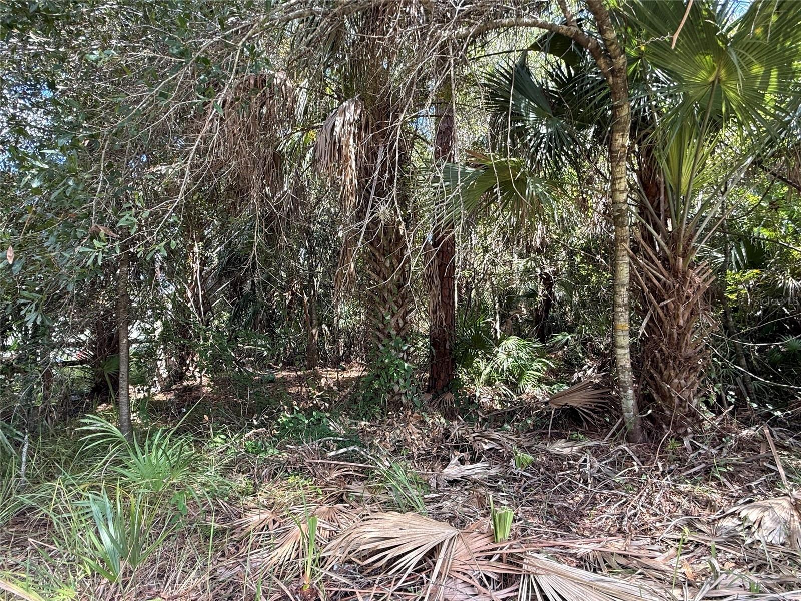 6000 VERA AVENUE N, Lehigh Acres, FL 33971 6000 VERA AVENUE N, Lehigh Acres, FL 33971