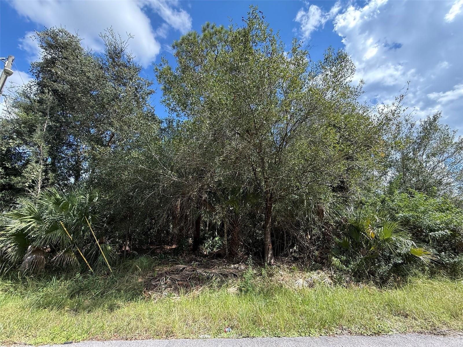 6000 VERA AVENUE N, Lehigh Acres, FL 33971 6000 VERA AVENUE N, Lehigh Acres, FL 33971