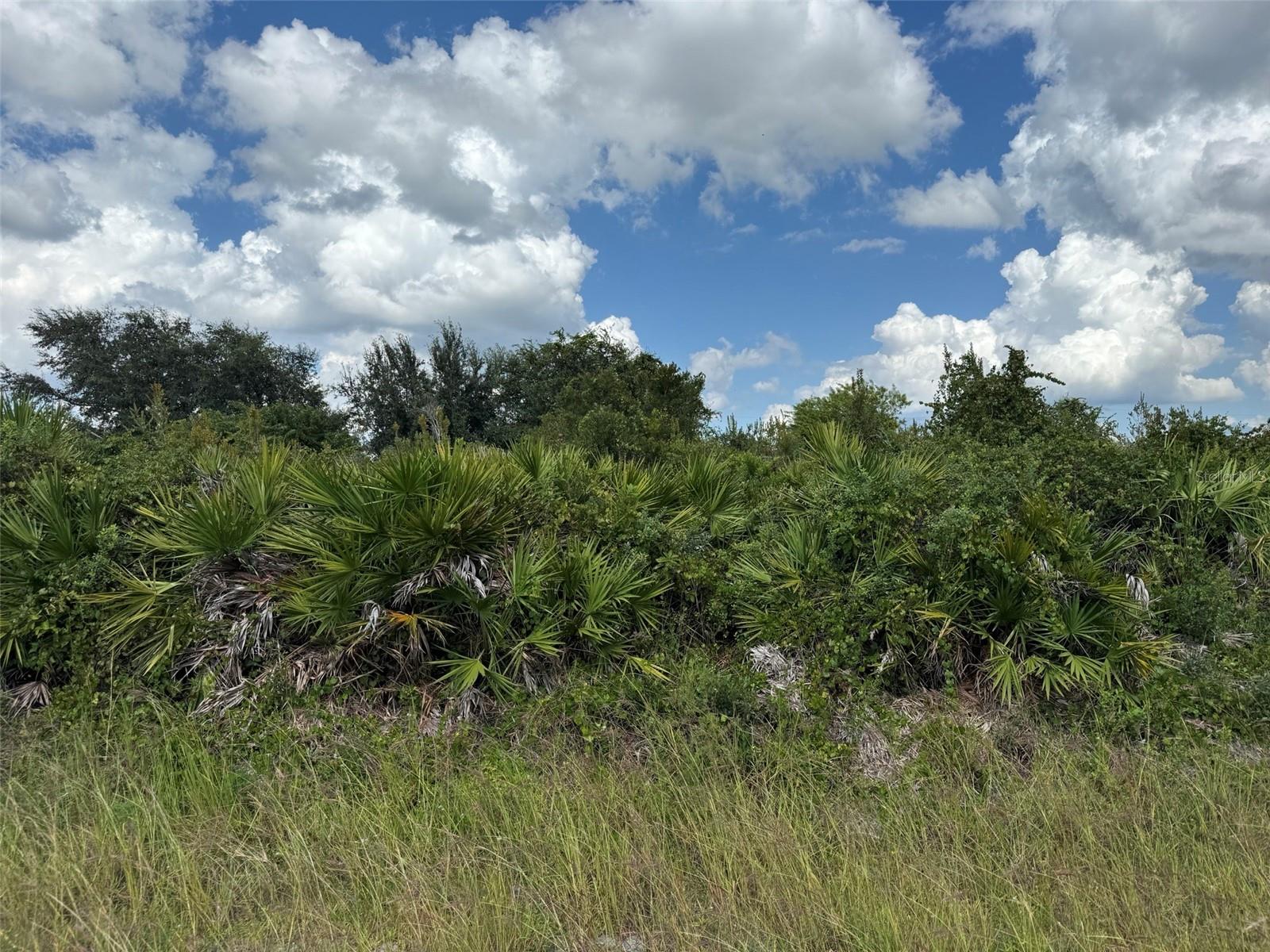 2814 63RD STREET W, Lehigh Acres, FL 33971