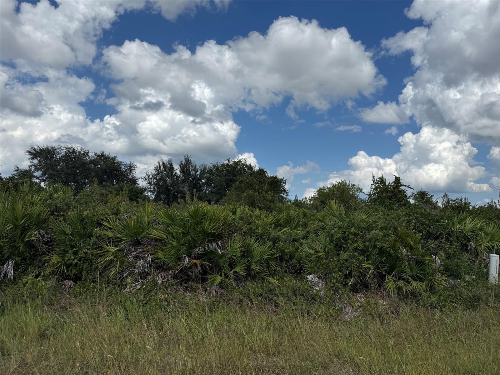 2814 63RD STREET W, Lehigh Acres, FL 33971