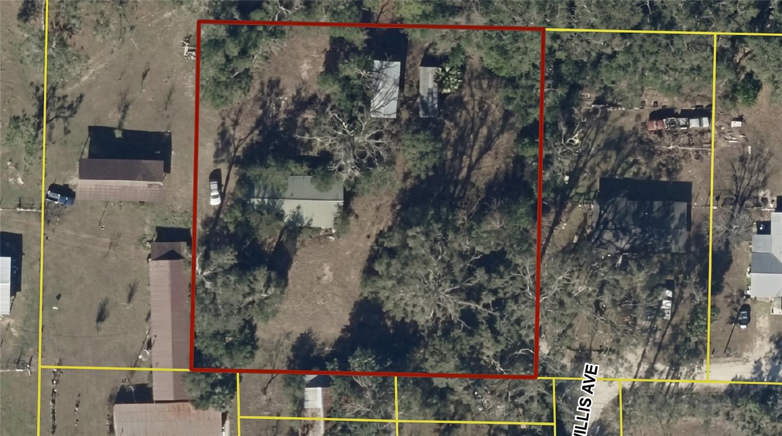 101 NE SCHOOLHOUSE LANE, Mayo, FL 32066