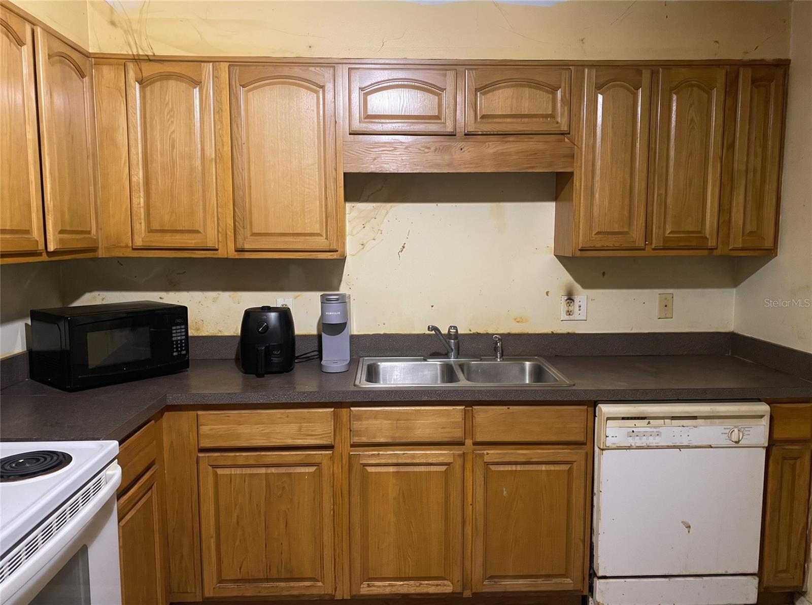 101 NE SCHOOLHOUSE LANE, Mayo, FL 32066