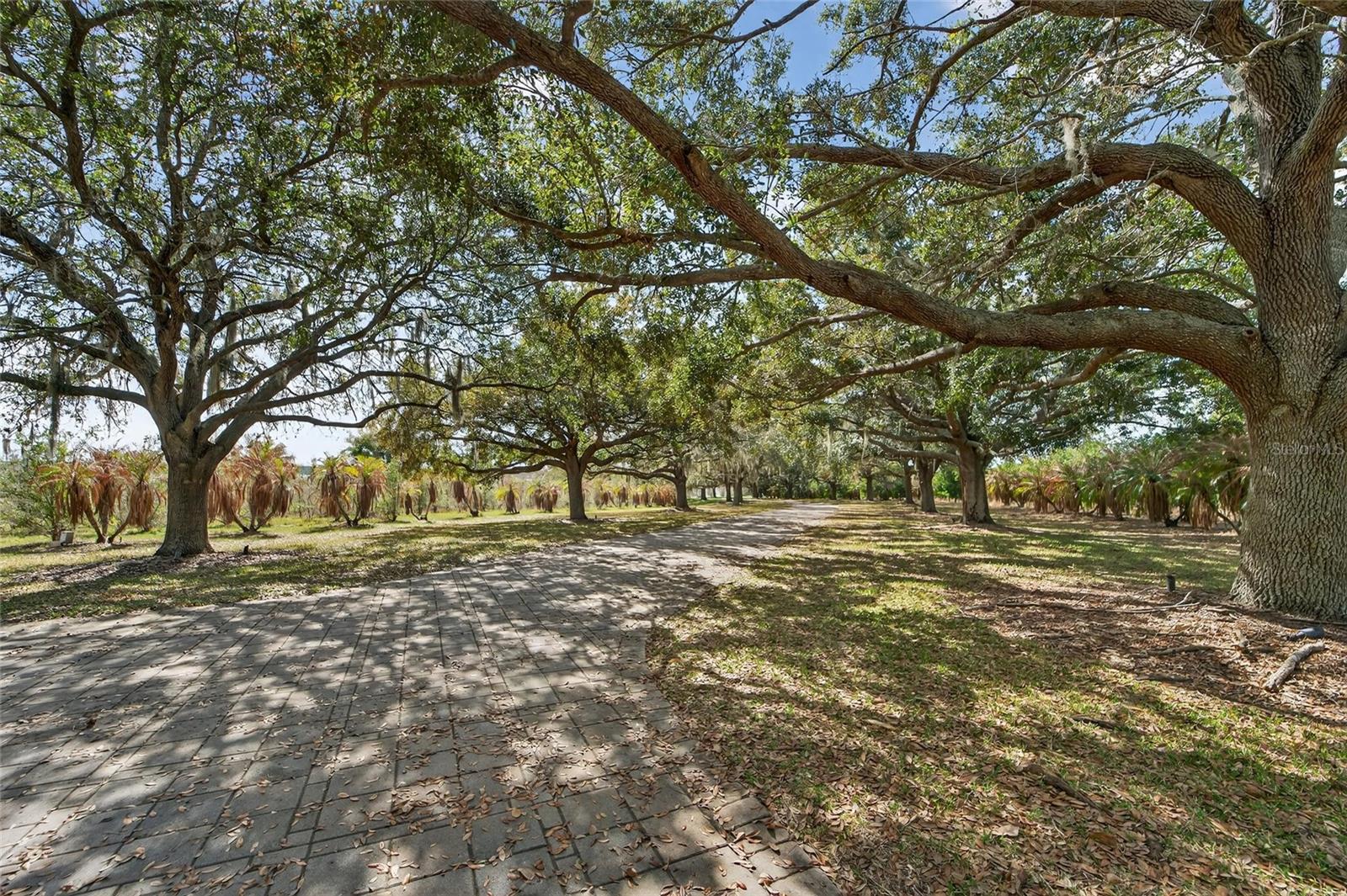 Walking paths throughout this estate