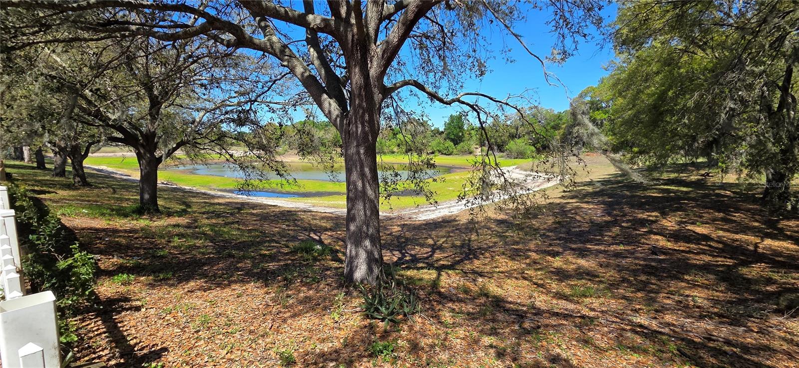 Pond view from backyard