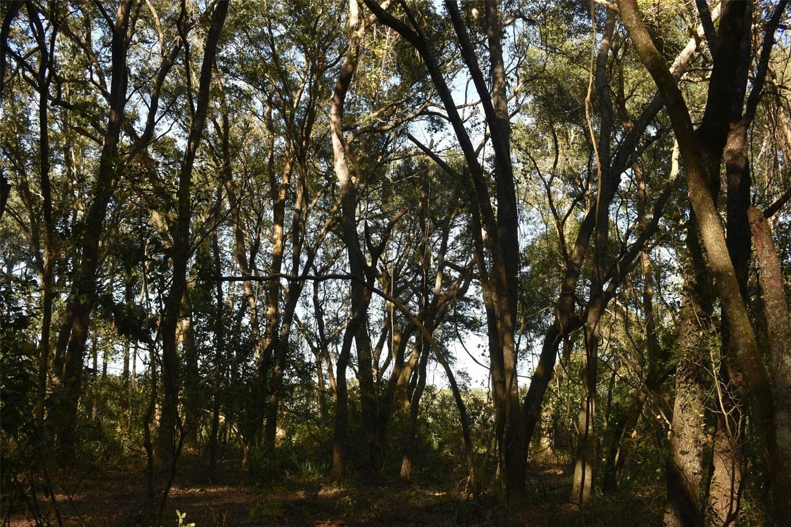 13800 COUNTY ROAD 450, Umatilla, FL 32784