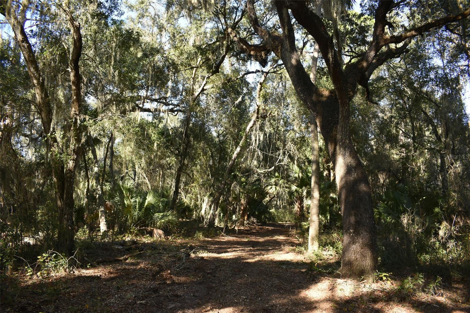 13800 COUNTY ROAD 450, Umatilla, FL 32784