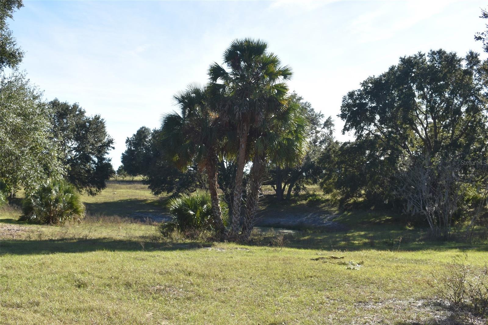13800 COUNTY ROAD 450, Umatilla, FL 32784