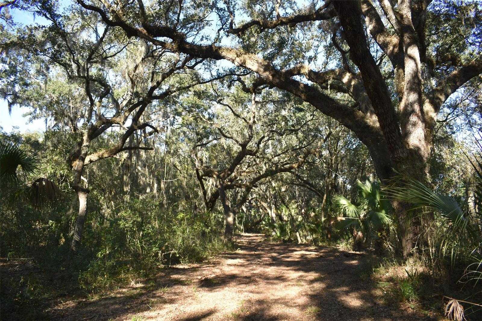 13800 COUNTY ROAD 450, Umatilla, FL 32784
