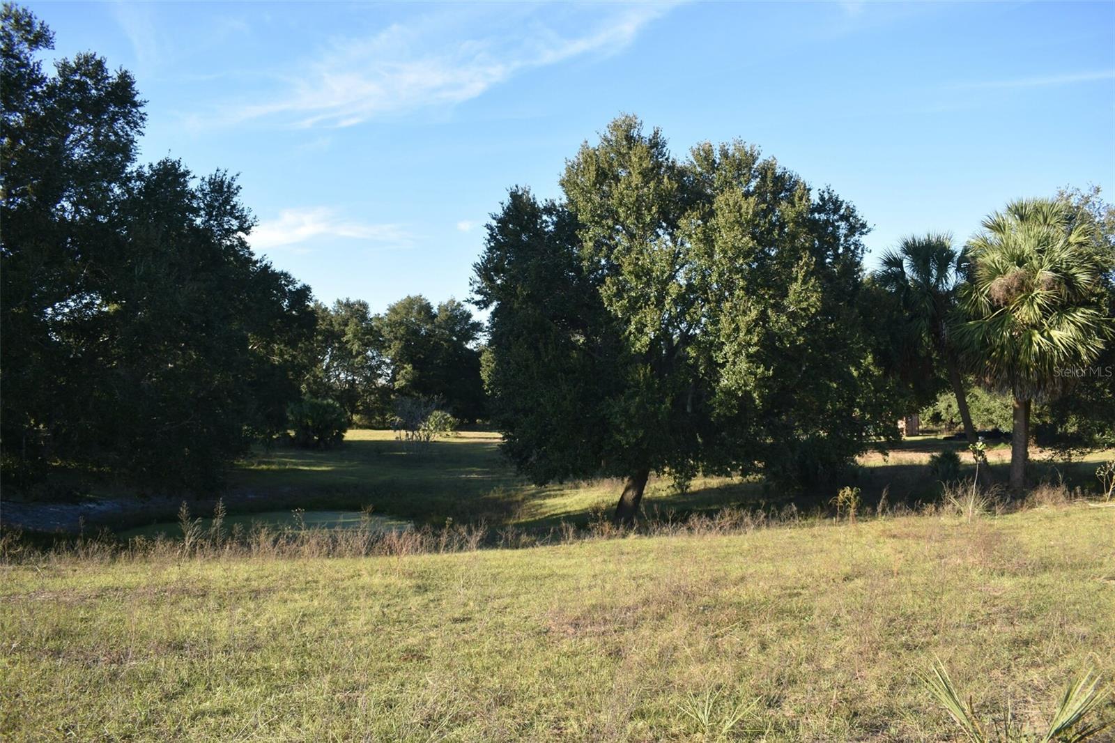 13800 COUNTY ROAD 450, Umatilla, FL 32784