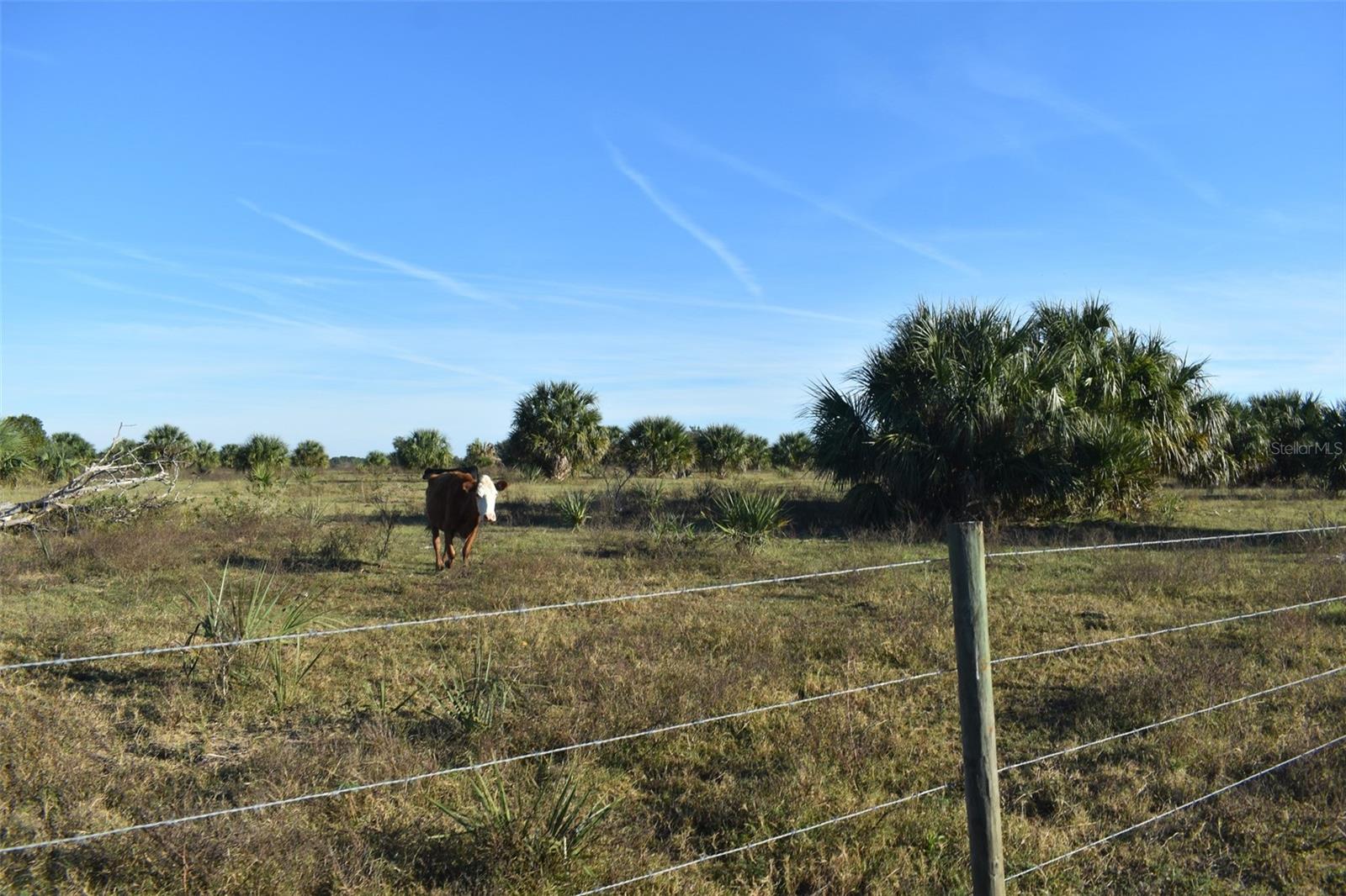 13800 COUNTY ROAD 450, Umatilla, FL 32784