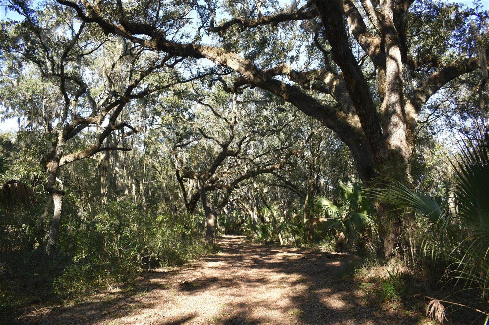 13800 COUNTY ROAD 450, Umatilla, FL 32784