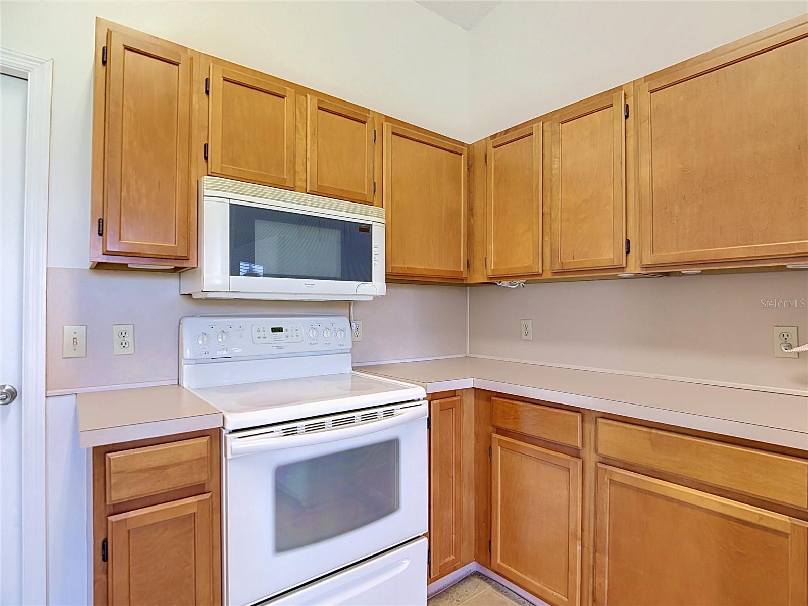 6121 KITTIWAKE DRIVE, Lakeland, FL 33809
