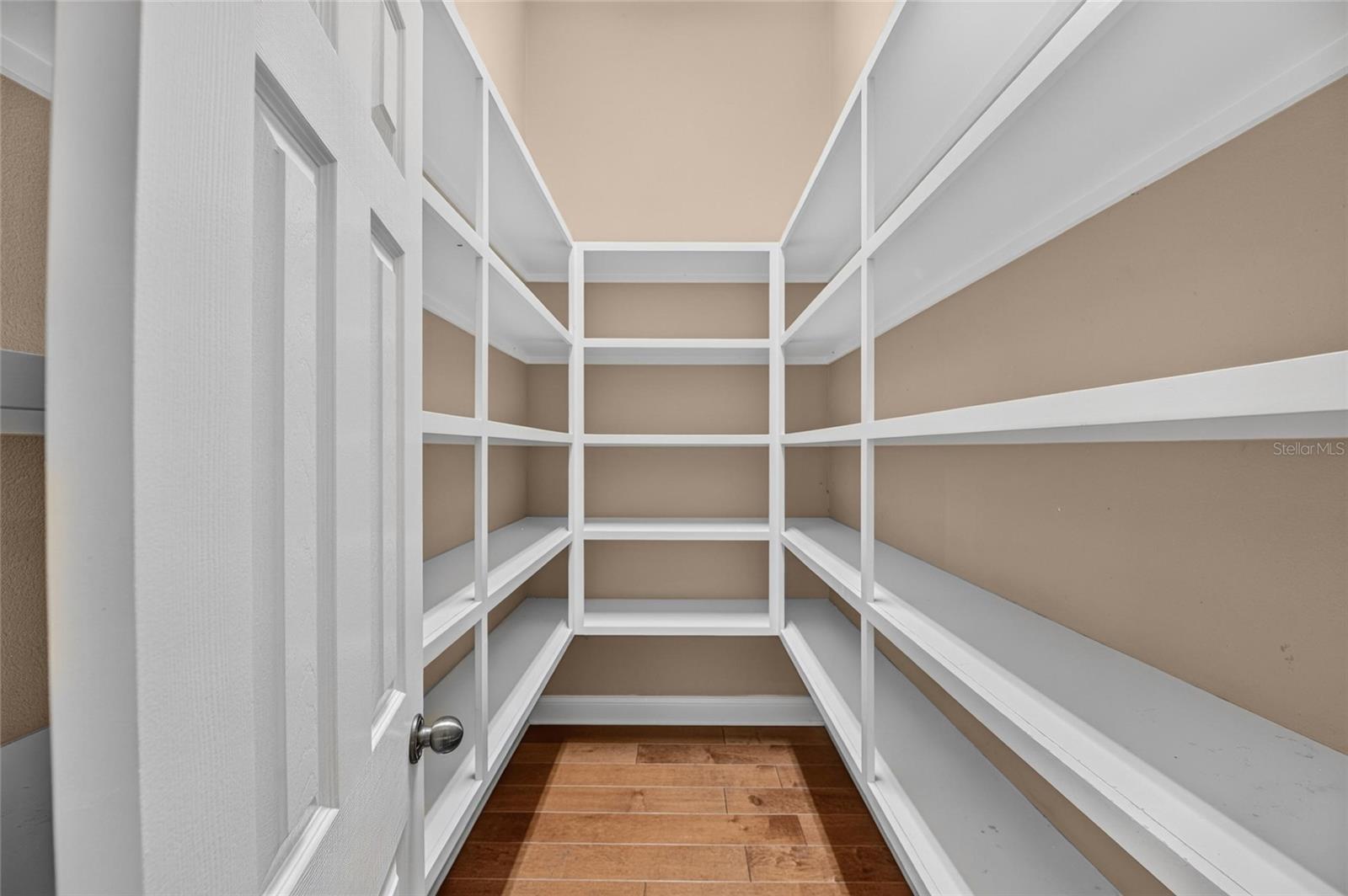 Huge Pantry Closet