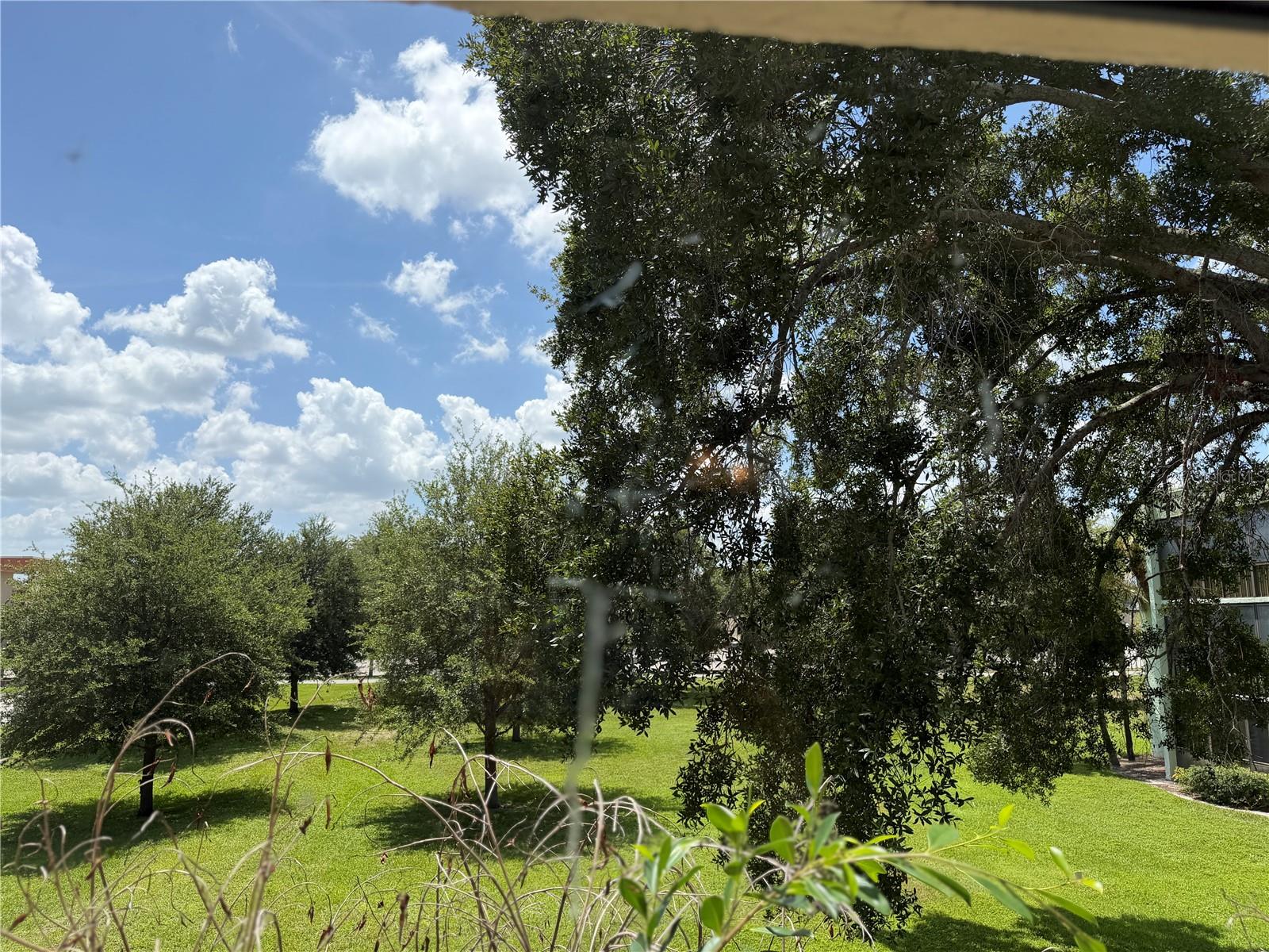 View from Bedroom 2