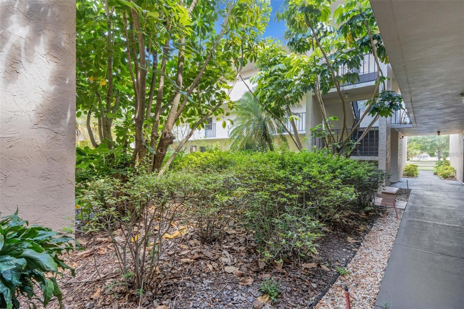 Entry way to Unit