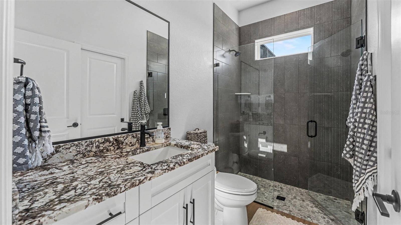 Guest Bathroom 2