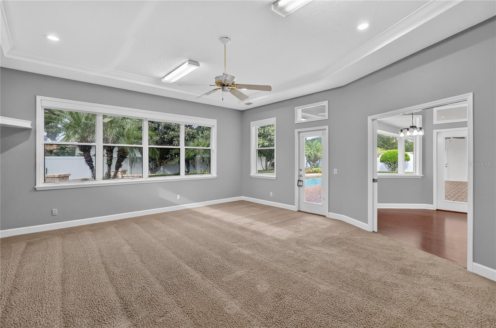 Game Room or Media Room