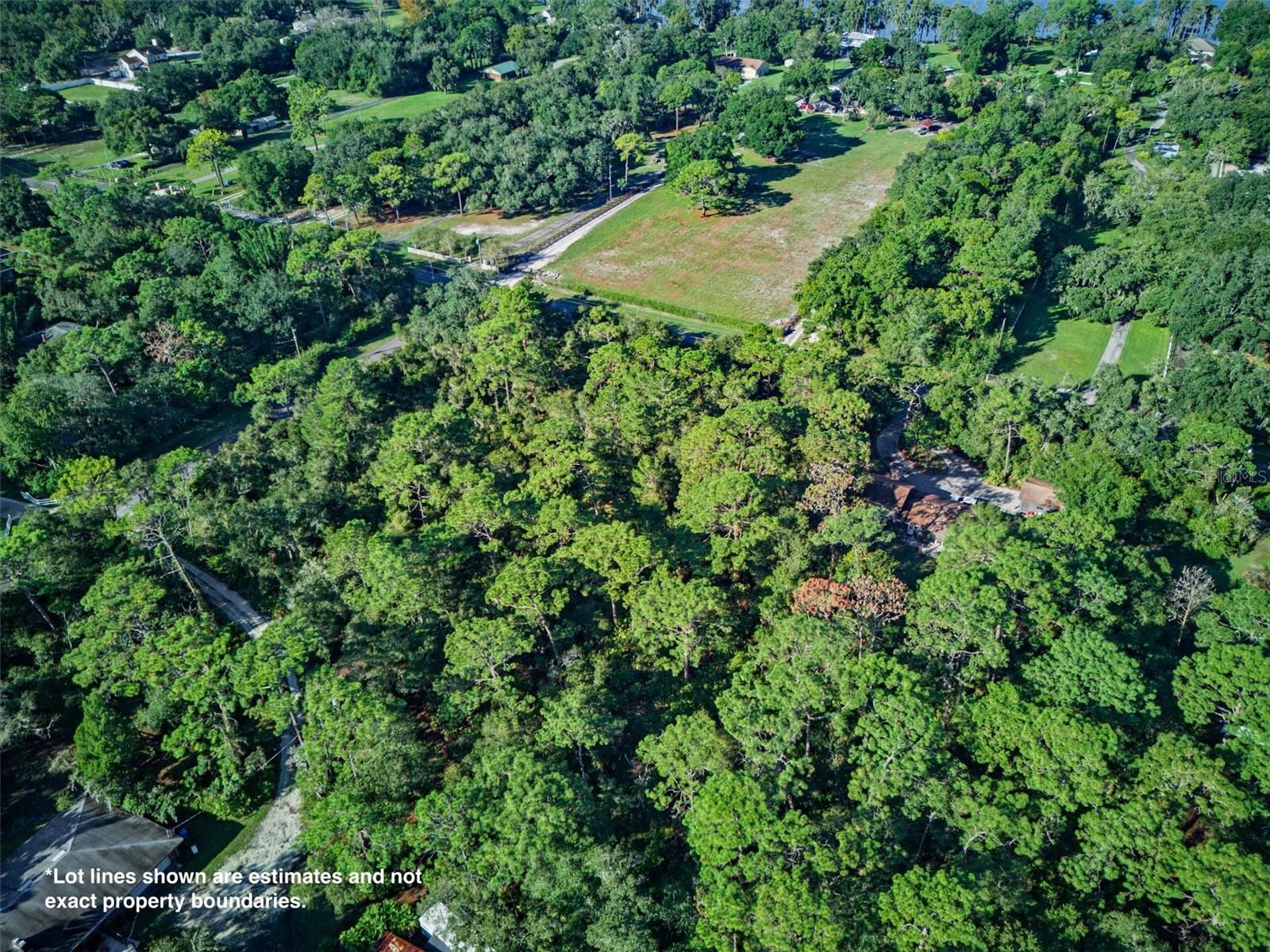 19807 HIAWATHA ROAD, Odessa, FL 33556