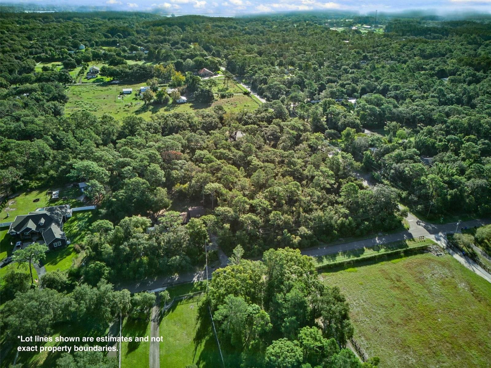 19807 HIAWATHA ROAD, Odessa, FL 33556