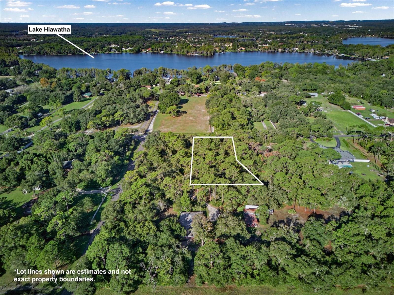 19807 HIAWATHA ROAD, Odessa, FL 33556