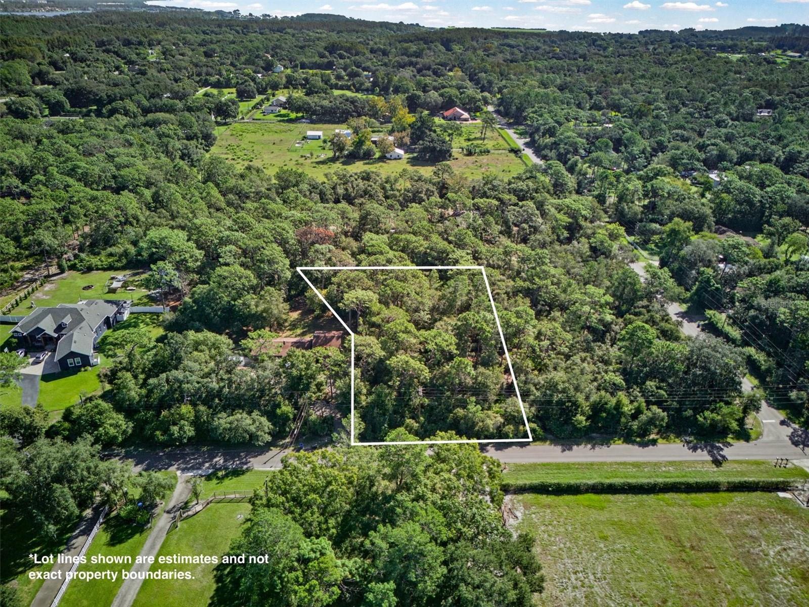 19807 HIAWATHA ROAD, Odessa, FL 33556