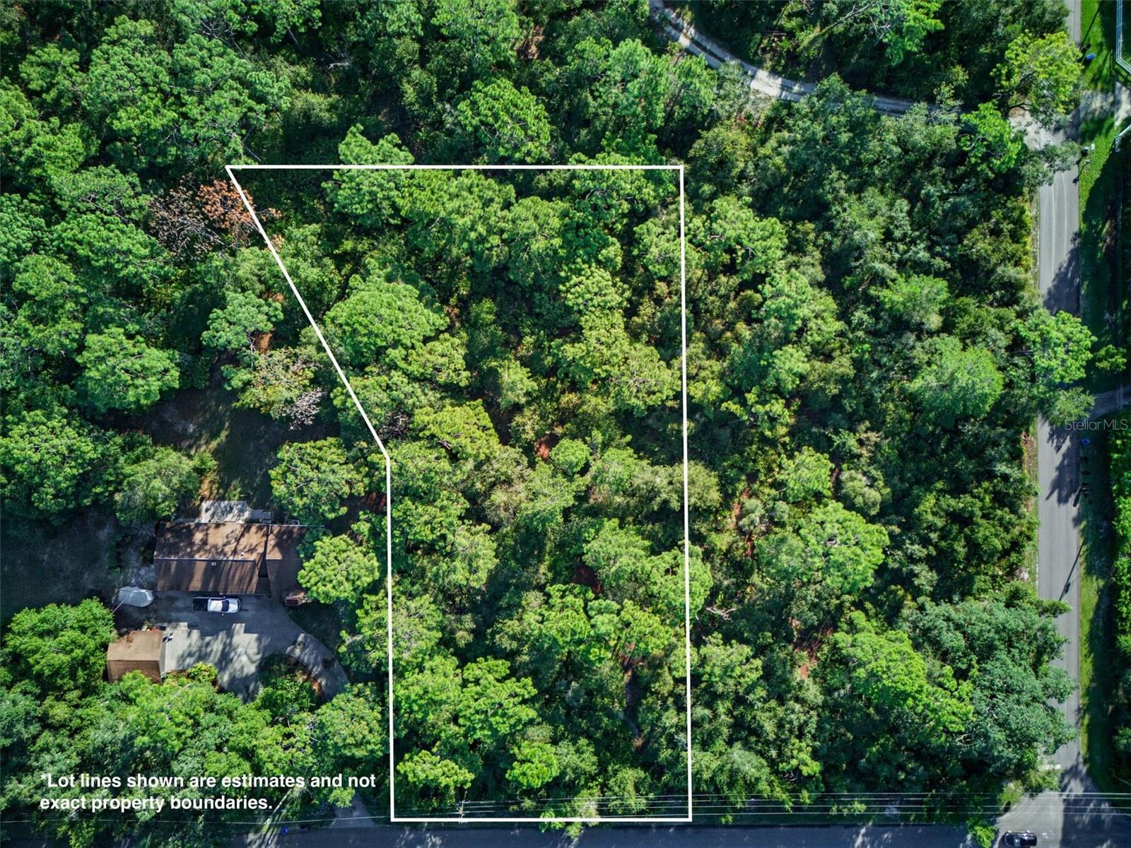 19807 HIAWATHA ROAD, Odessa, FL 33556