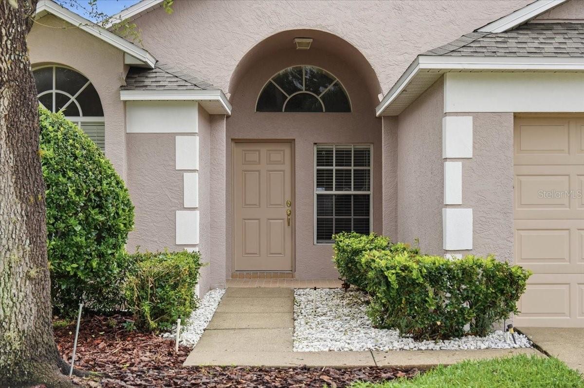 2610 BUCKHORN PRESERVE BOULEVARD, Valrico, FL 33596