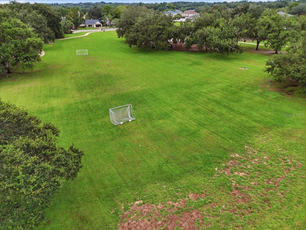 2610 BUCKHORN PRESERVE BOULEVARD, Valrico, FL 33596