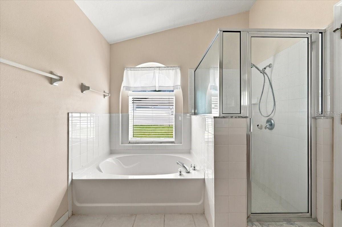 2610 BUCKHORN PRESERVE BOULEVARD, Valrico, FL 33596